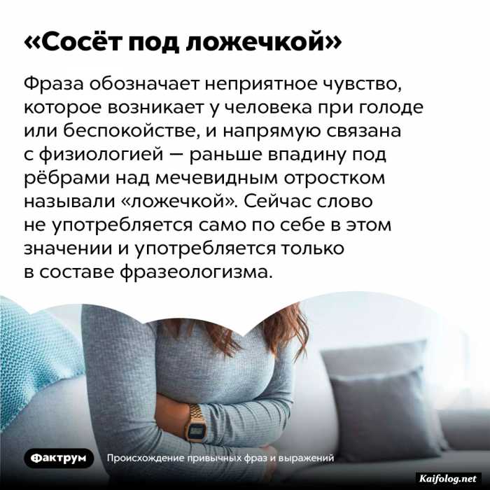 факт картинка с текстом