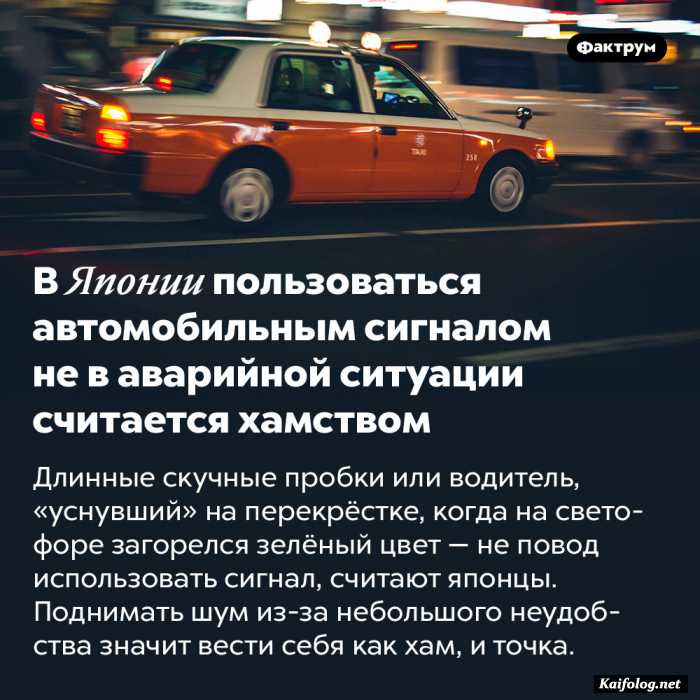 факт картинка с текстом