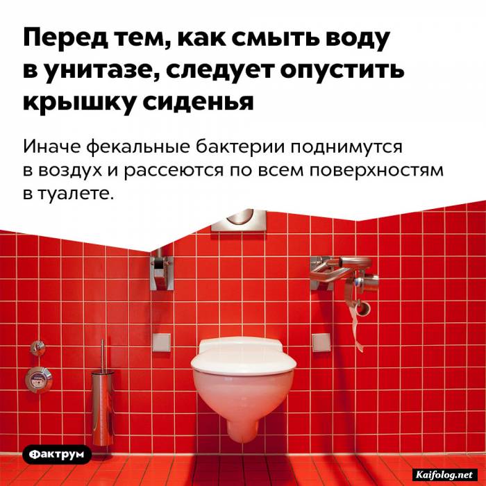 забавный факт