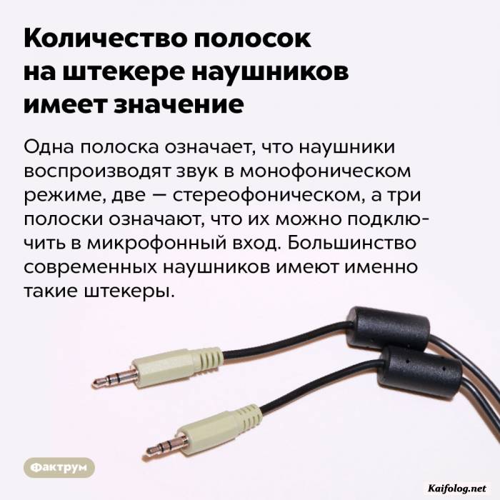 забавный факт