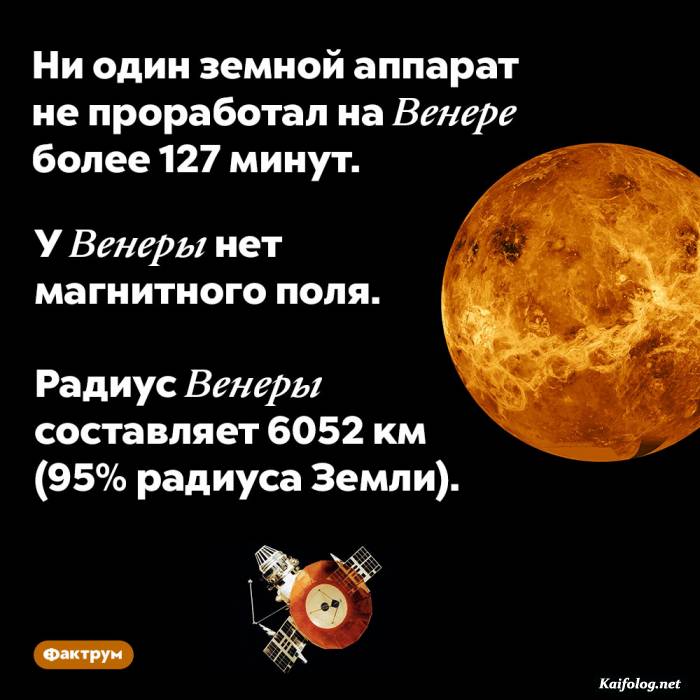 забавный факт