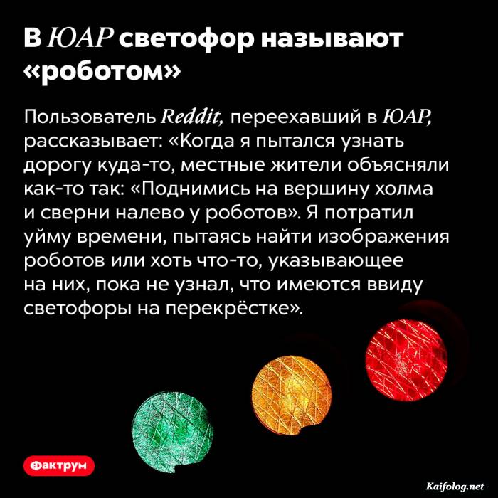 забавный факт