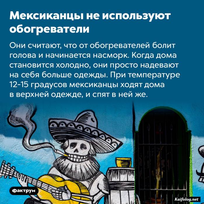 забавный факт