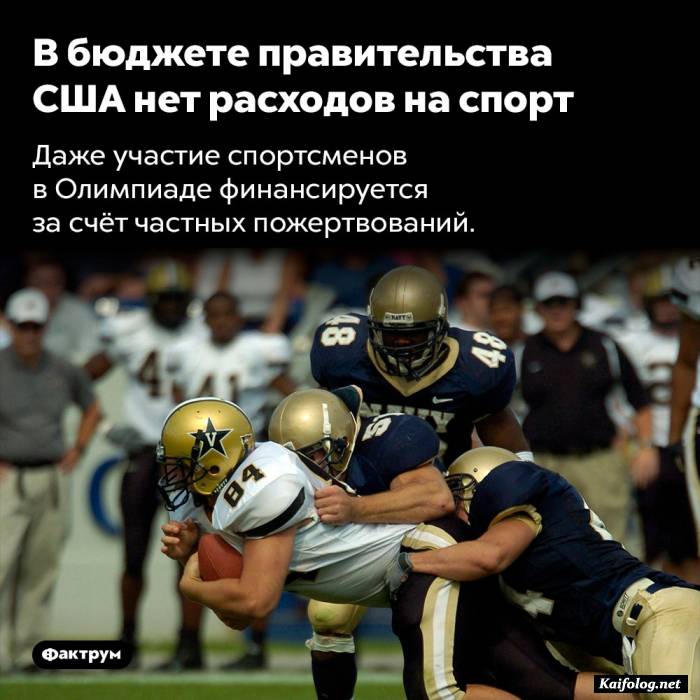 забавный факт