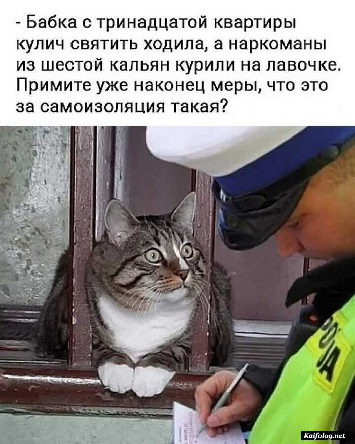 прикольное фото