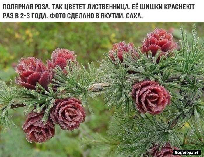 прикольное фото