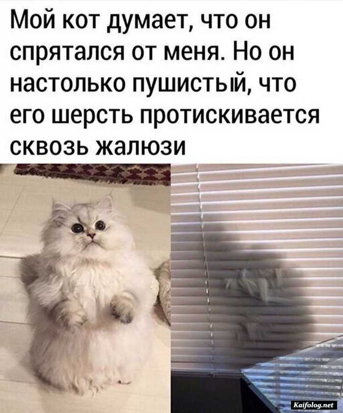 прикольное фото