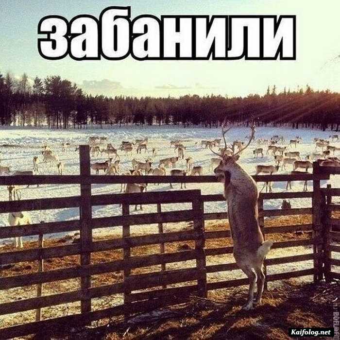 прикольное фото