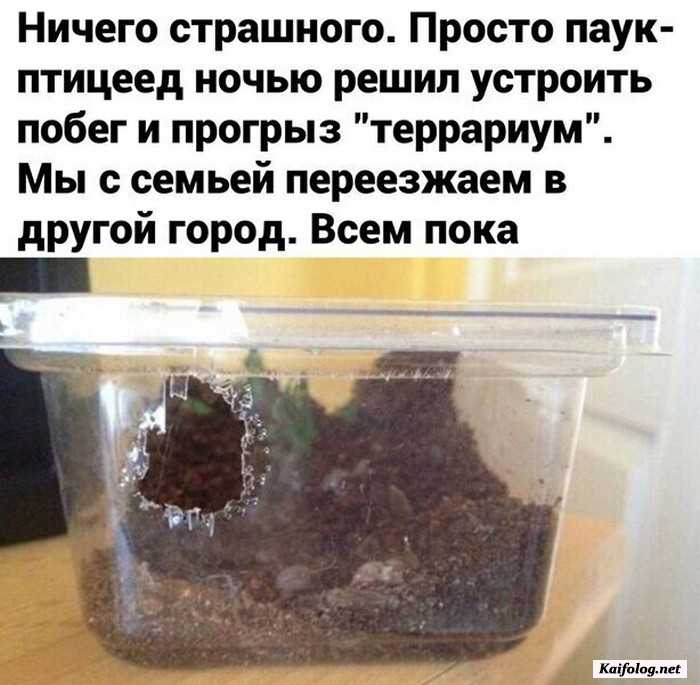 прикольное фото