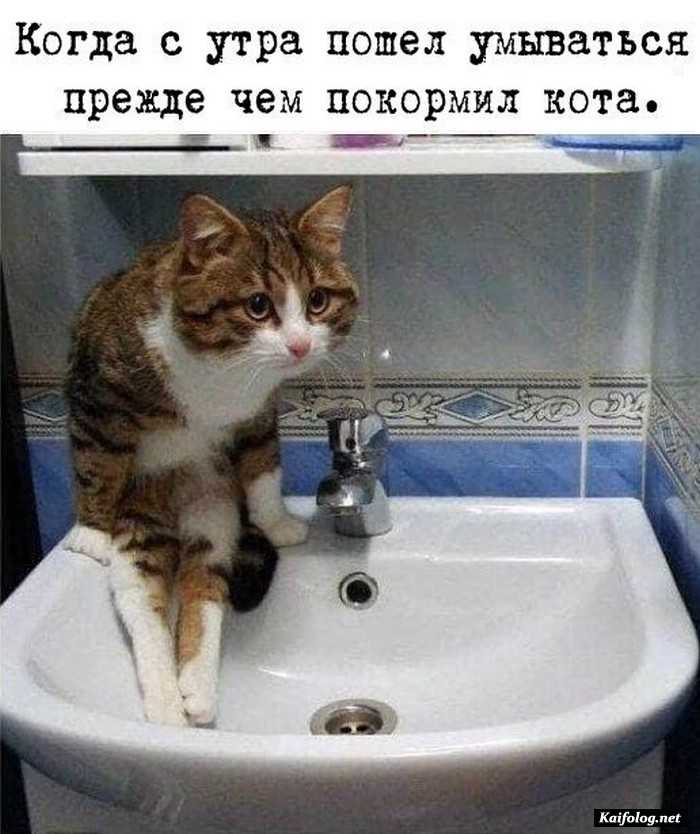 прикольное фото