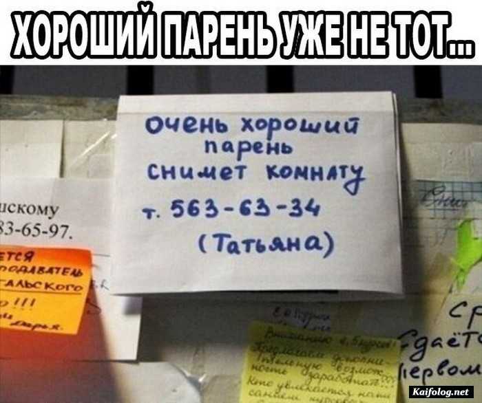 прикольное фото