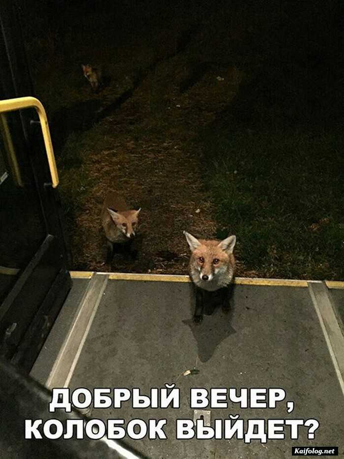 прикольное фото