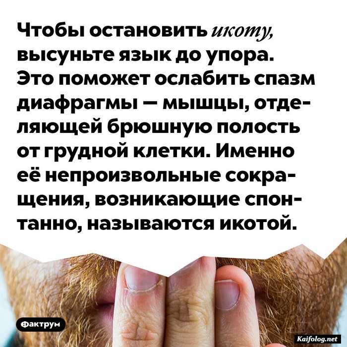 картинка с фактом