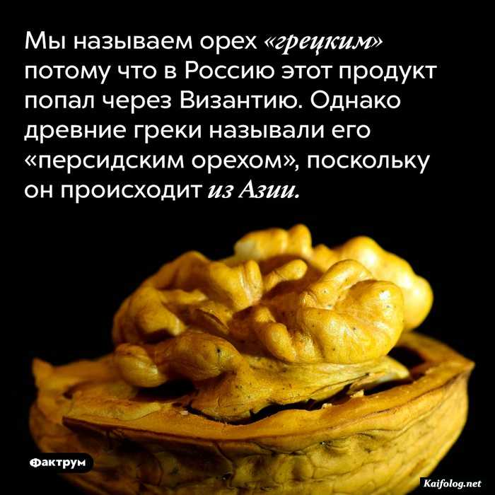 картинка с фактом