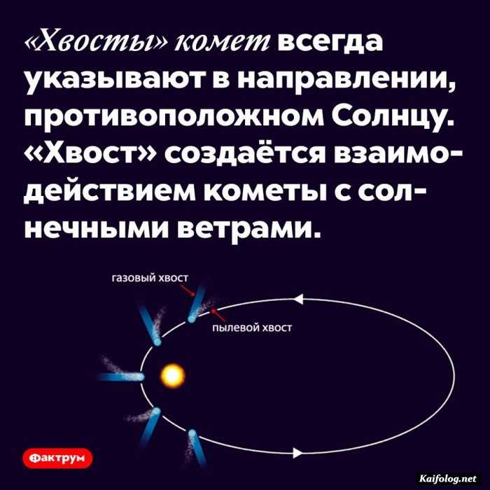 картинка с фактом