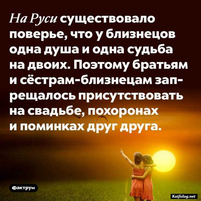 картинка с фактом