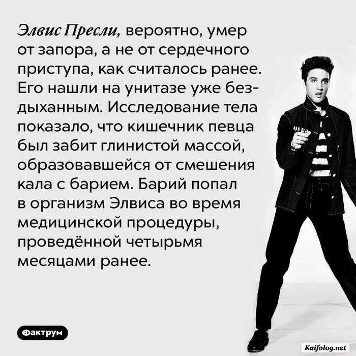 картинка с фактом