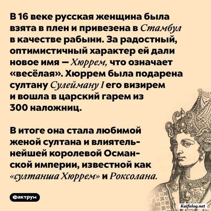 картинка с фактом