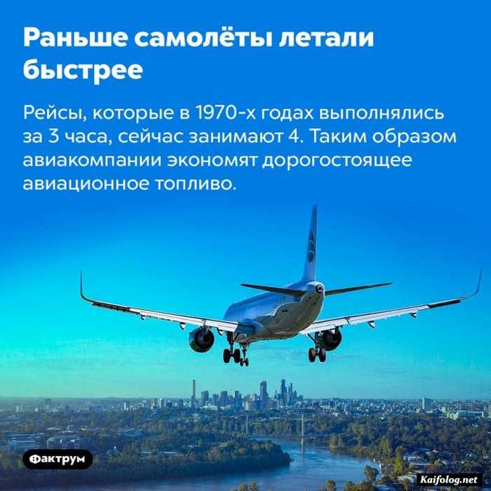 картинка с фактом