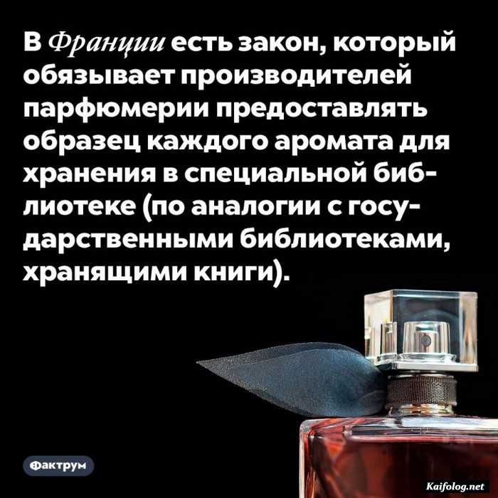 картинка с фактом