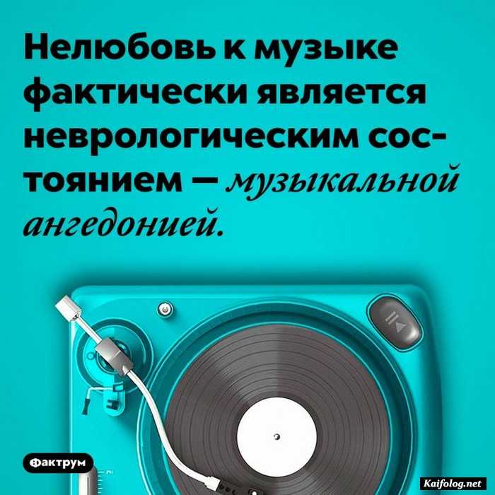 картинка с фактом