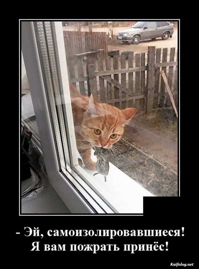 Смешной демотиватор