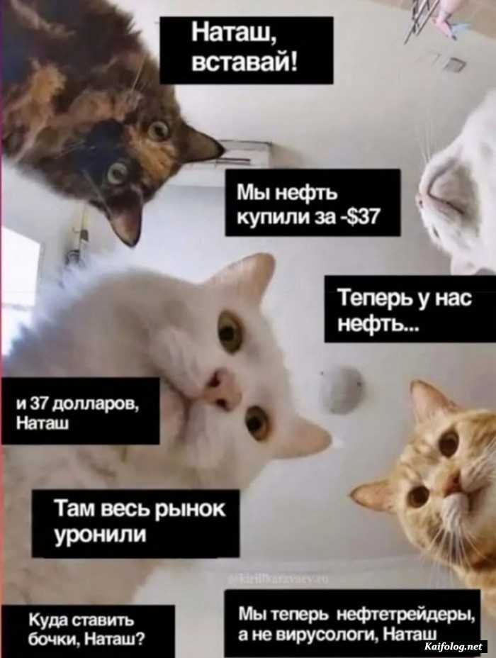 прикольная картинка