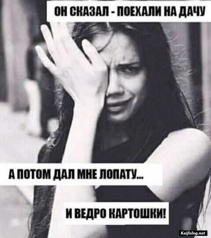 прикольная картинка