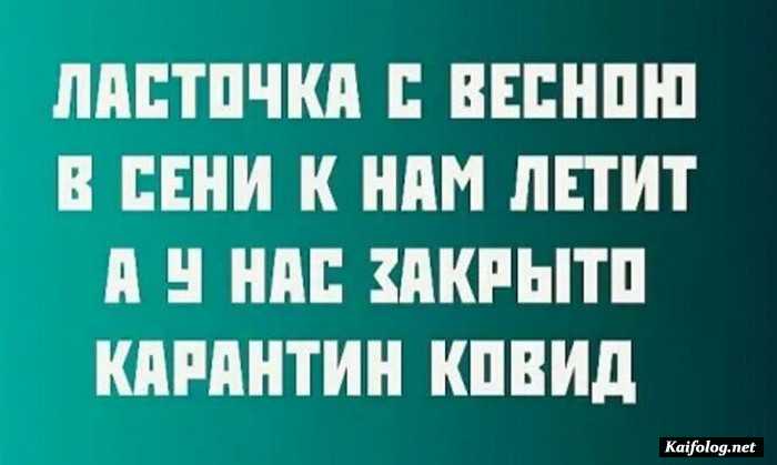 прикольная картинка