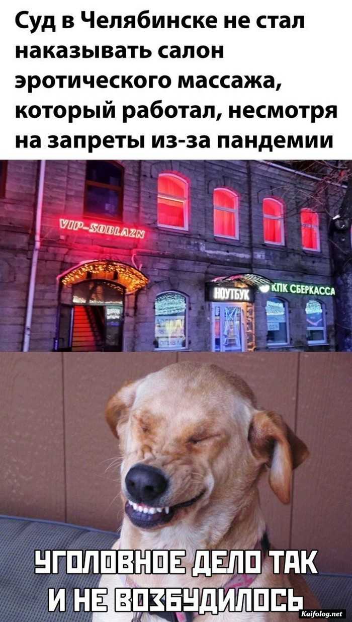 прикольная картинка