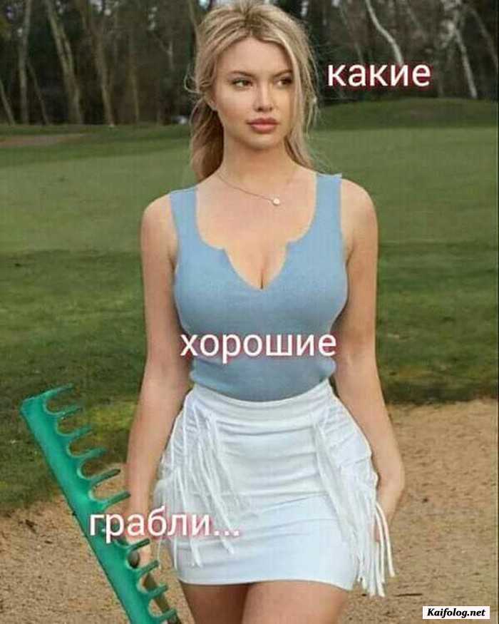 прикольная картинка