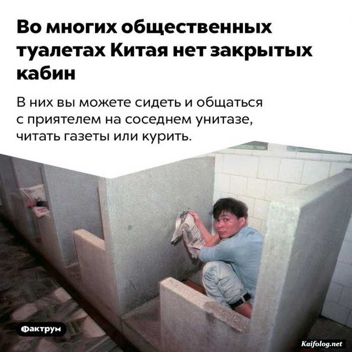 факт интересный на картинке