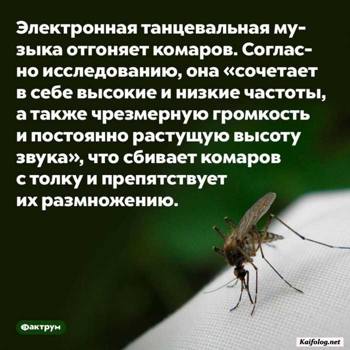 факт интересный на картинке