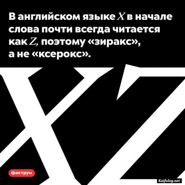 факт интересный на картинке