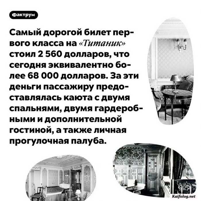 факт интересный на картинке