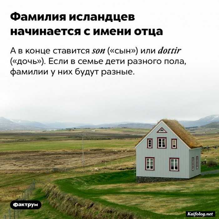 факт интересный на картинке
