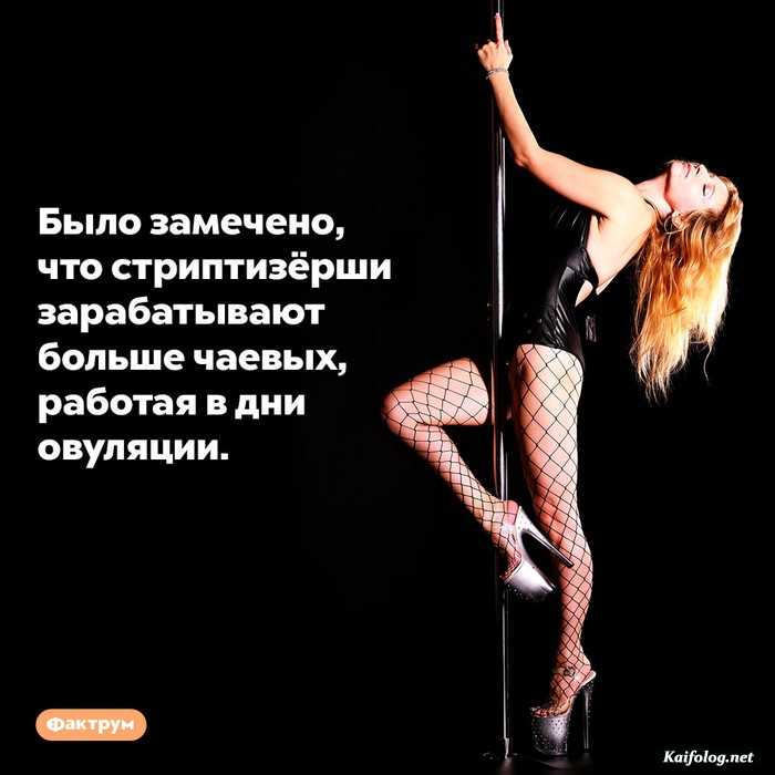 факт интересный на картинке
