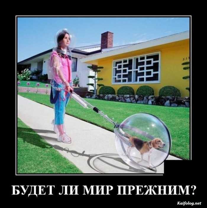 прикольные демотиватор картинка