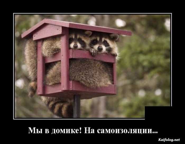 прикольные демотиватор картинка