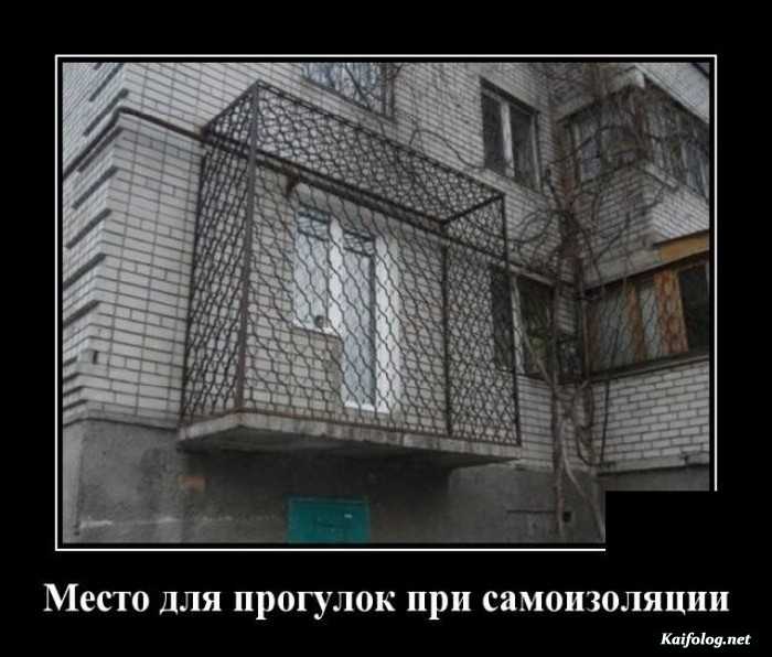прикольные демотиватор картинка