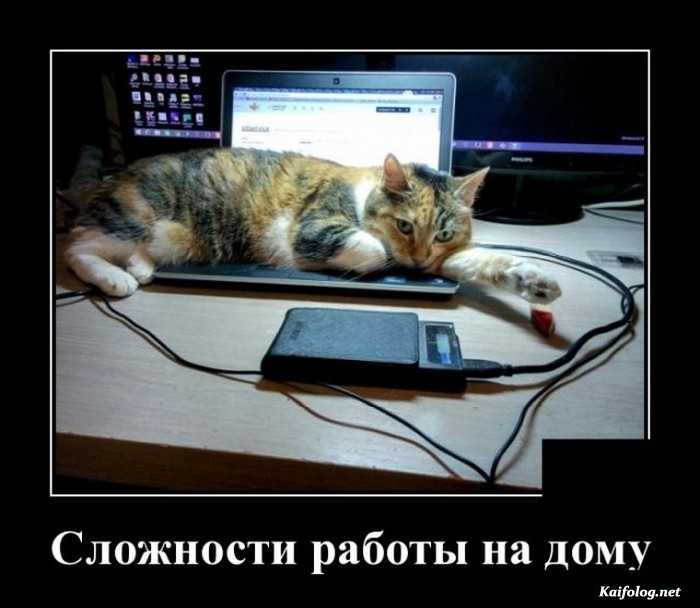прикольные демотиватор картинка