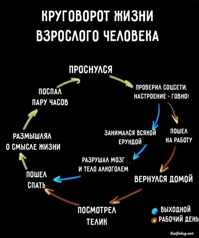 картинка с текстом и юмором