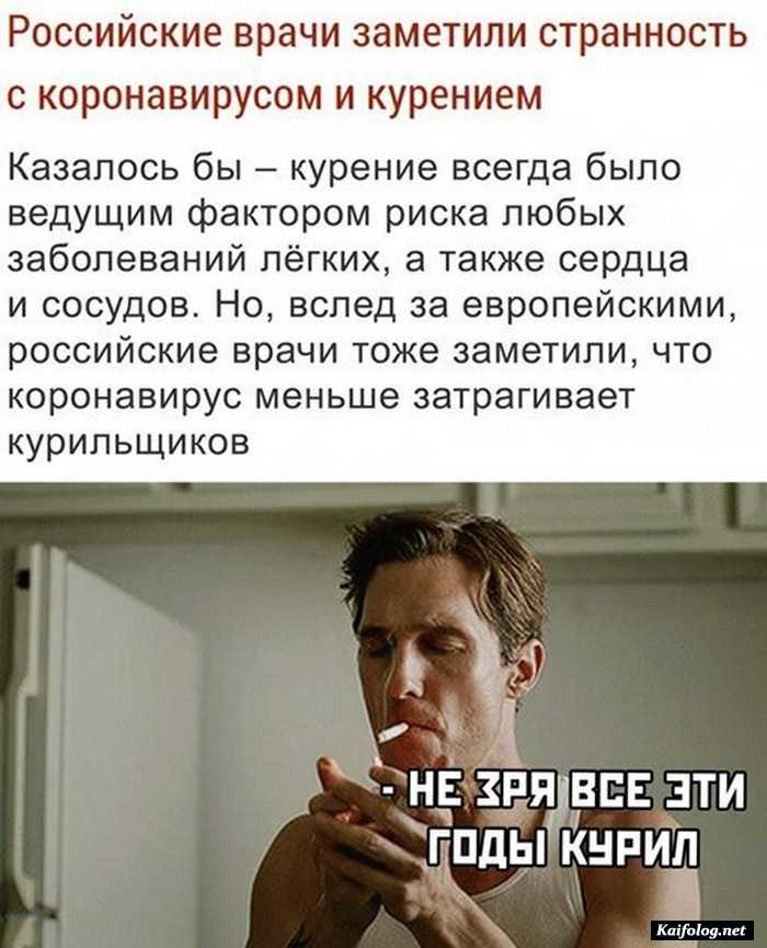 юмор на картинке с текстом