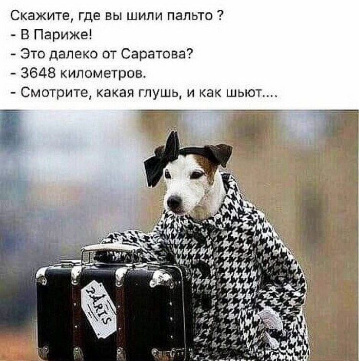 юмор на картинке