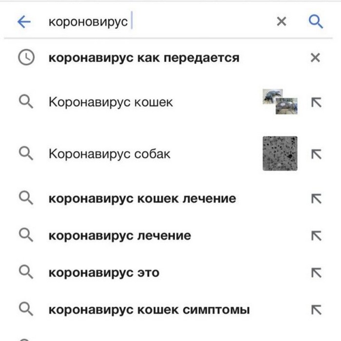 смешной поисковый запрос