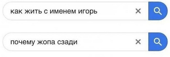 смешной поисковый запрос
