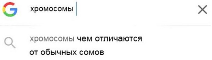 смешной поисковый запрос