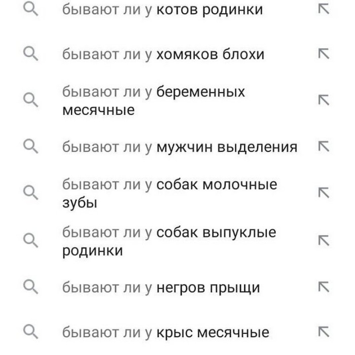 смешной поисковый запрос