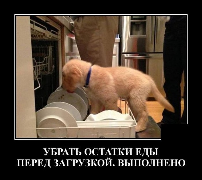 смешной демотиватор