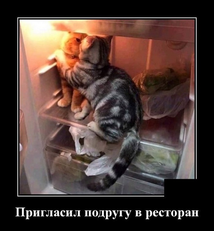 смешной демотиватор